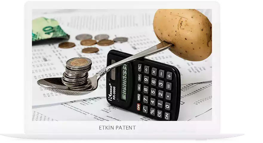 finansal davranışlara dair kombinasyon modeller-Merdin Patent